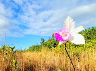 8th Avenue Kahili, Keaau, HI 96749