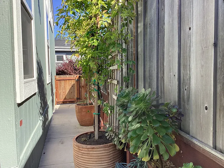2435 Felt St #107 — Photo 30