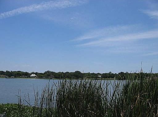View from yard