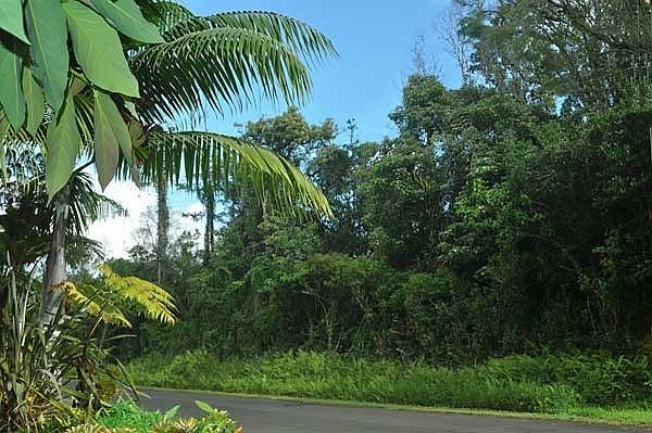 1st image of Malama St Lot 43