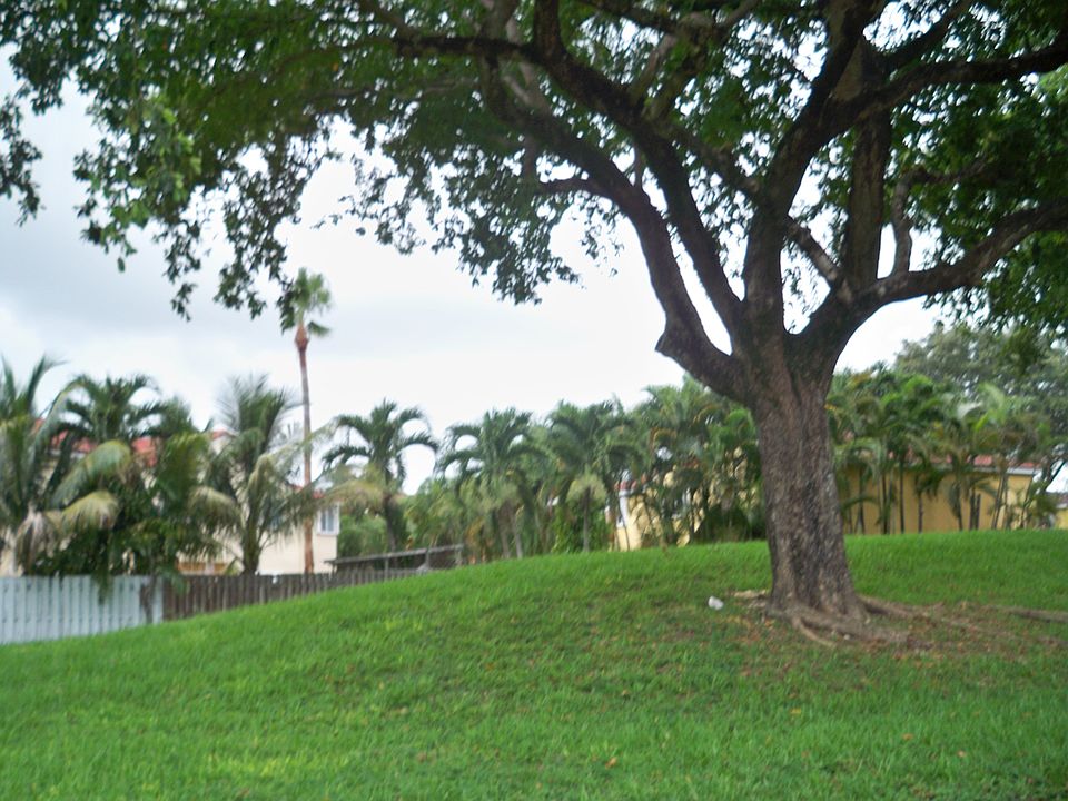 2nd image of 9734 Hammocks Blvd APT 204