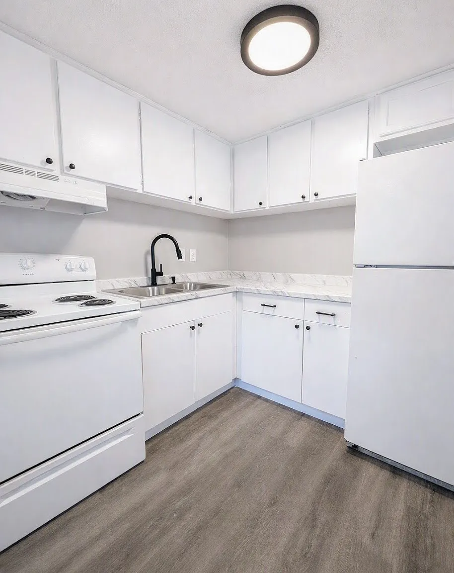 1 bed, 500 sqft, $1,195 — Photo 4