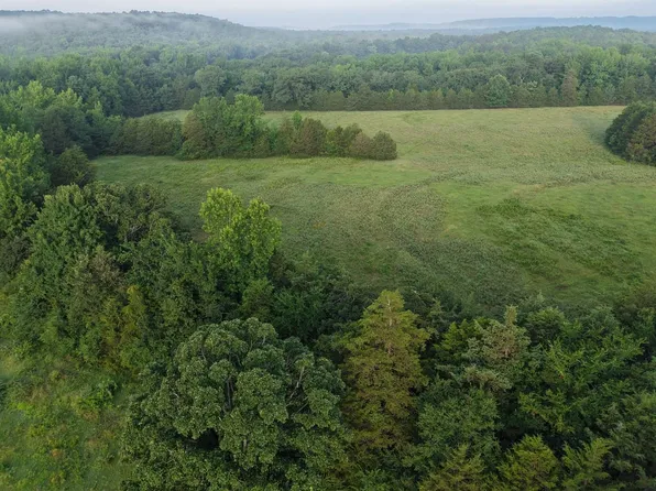 Rockhouse Rd, Bee Branch, AR 72013