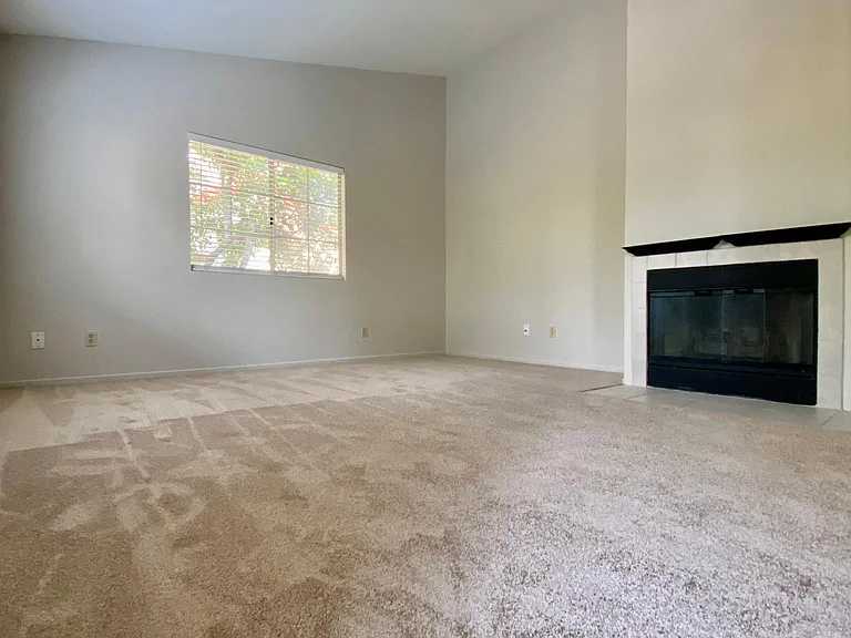 25538 Azalea — Photo 3