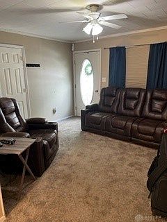 3rd image of 217 William St