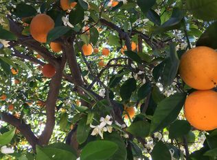 1542 E Commonwealth Ave, Fullerton, CA 92831