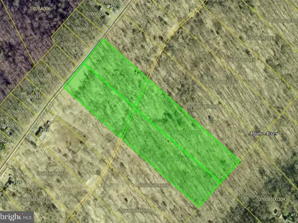 Lots 3018 & 4019 Supinlick Ridge Rd, Mount Jackson, VA 22842