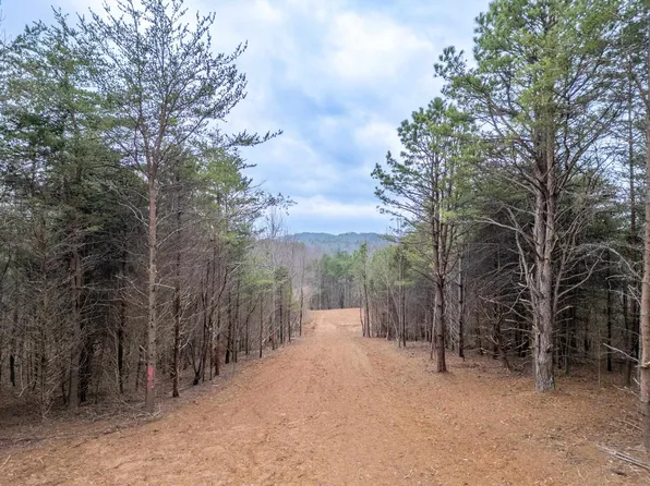 0 Cox Ridge Rd, Claudville, VA 24076