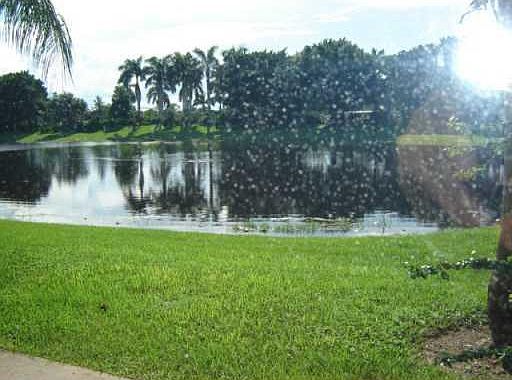 1st image of 2277 Salerno Cir