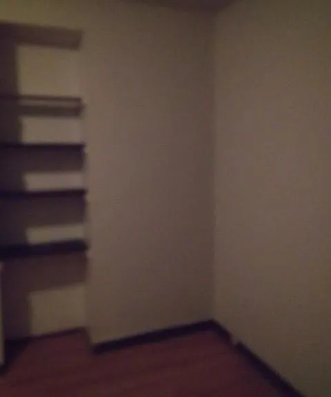 114 S Ferry St #3 — Photo 18
