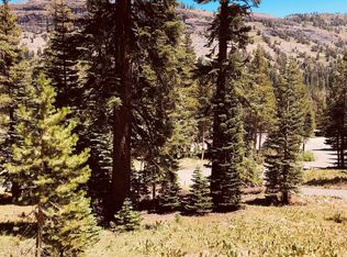 33785 Danburg Dr, Kirkwood, CA 95646