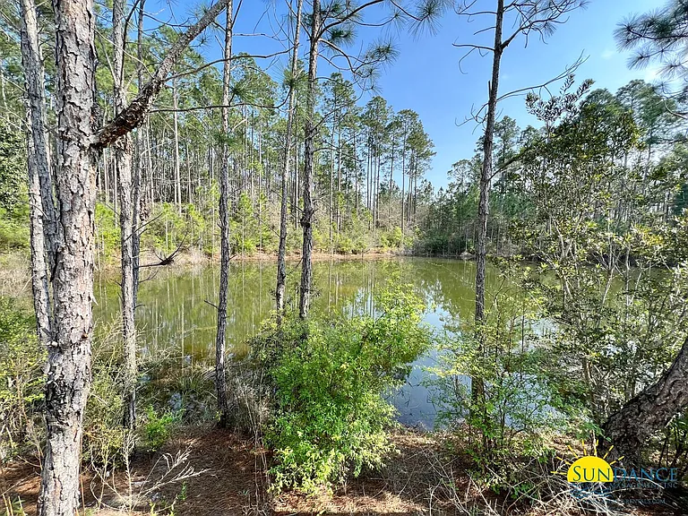 151 Date Palm Ln — Photo 28