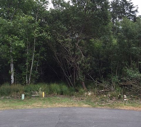 3rd image of 662 Alder Ct NE