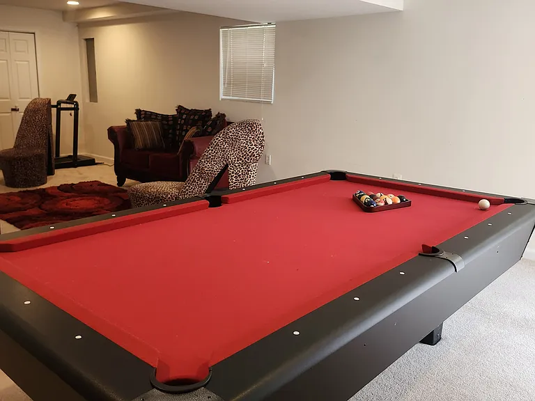 11051 Birchtree Ln #BASEMENT — Photo 9