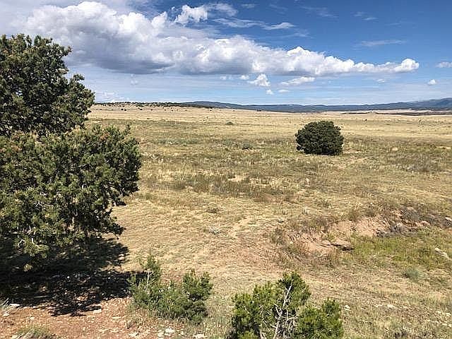 1st image of 1000 County Road 540