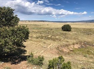 1000 County Road 540, Gardner, CO 81040