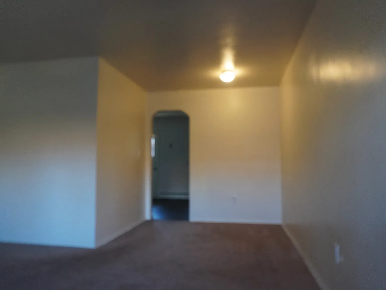 3 bed, 975 sqft, $1,495 — Photo 3