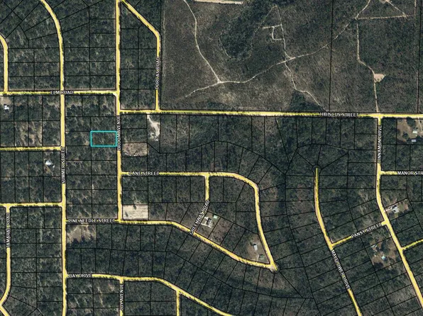 LOT 5 Broom Ave, Marianna, FL 32448