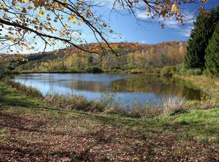 280 Buck Brook Rd, Fremont center, NY 12776