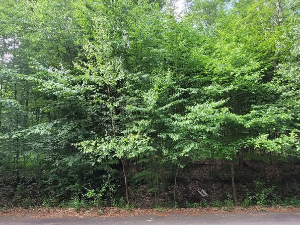 H17 Wolf Hollow Rd, Lake Harmony, PA 18624