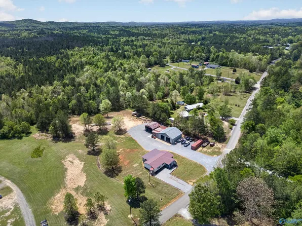 712 Meeks Rd, Wellington, AL 36279