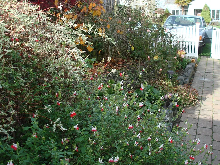 Gardens at 3402
