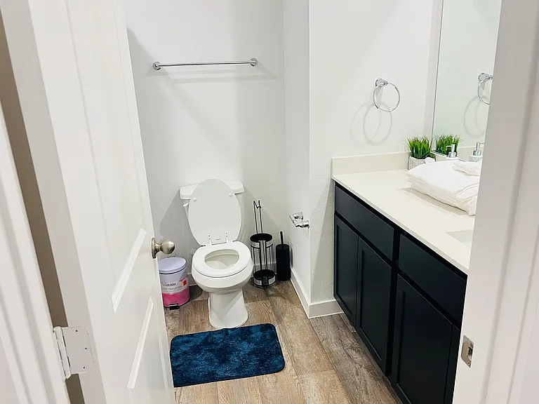 3115 Magnolia Blossom Ln — Photo 2