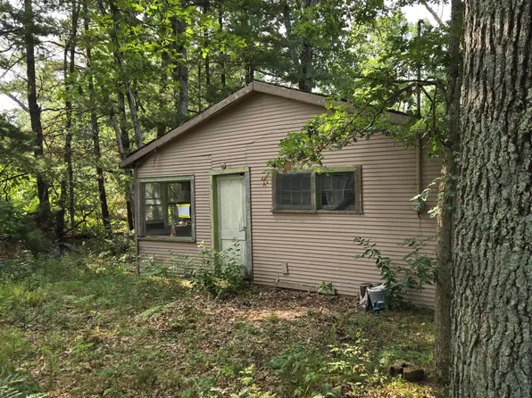 290 E Decatur Ave, Idlewild, MI 49642