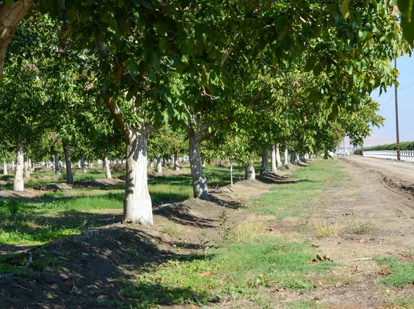 Ave 168, Tulare, CA 93274