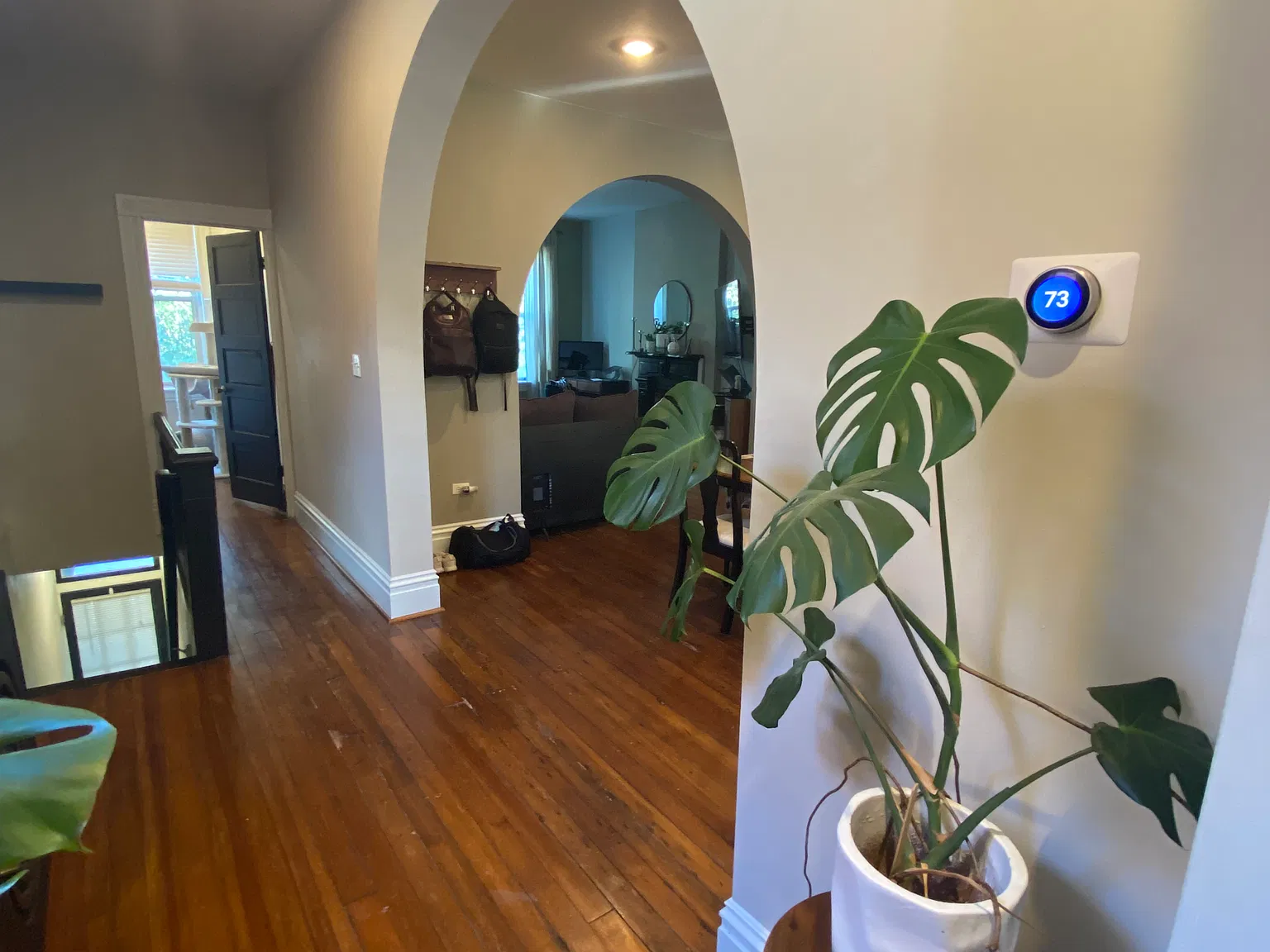 1 bed, 1300 sqft, $1,300 — Photo 3