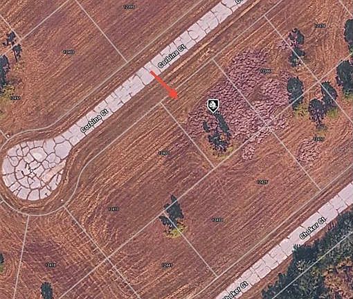 3rd image of 12394 CORBINA COURT LOT 57