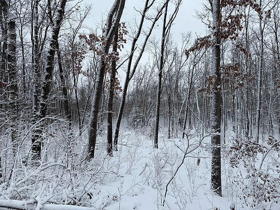 4th image of Steinberg Rd