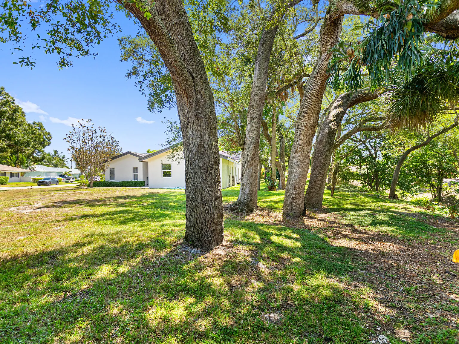4 bed, 3.0 bath, 1802 sqft, $8,000 — Photo 3