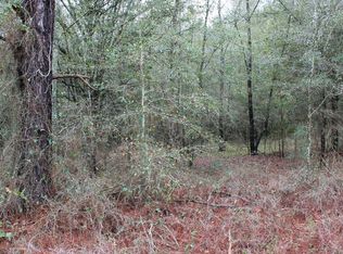 160TH Terrace, McAlpin, FL 32062