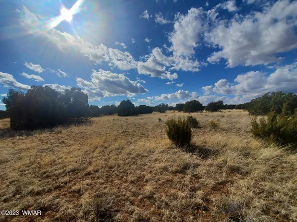 County Road 5120, Concho, AZ 85924