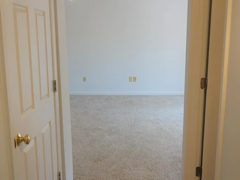 4725 Amber Ridge Ct — Photo 33