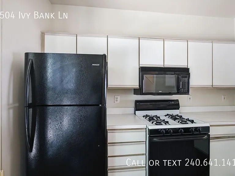 3504 Ivy Bank Ln — Photo 10