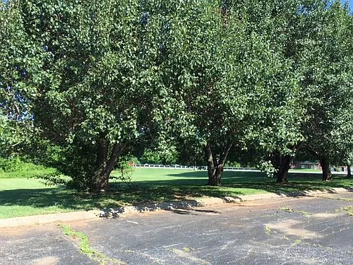 Haynes Manor Photo 1