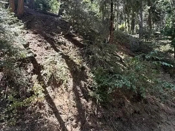 34207243 Mojave River Rd Lot 53, Cedarpines Park, CA 92322