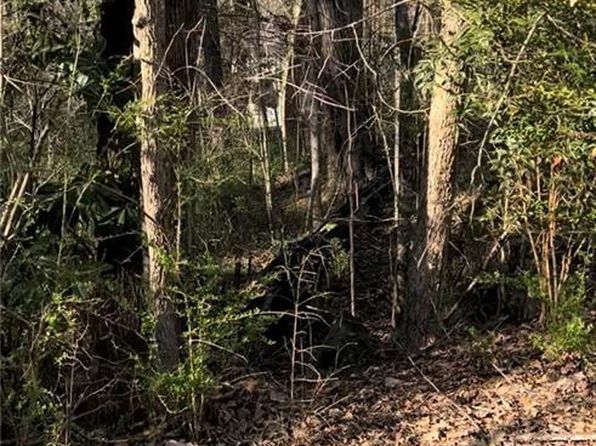 2084 Jadestone Ct LOT 20, Jonesboro, GA 30236