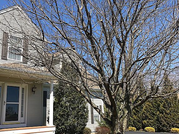 5th image of 75 Evergreen Ct