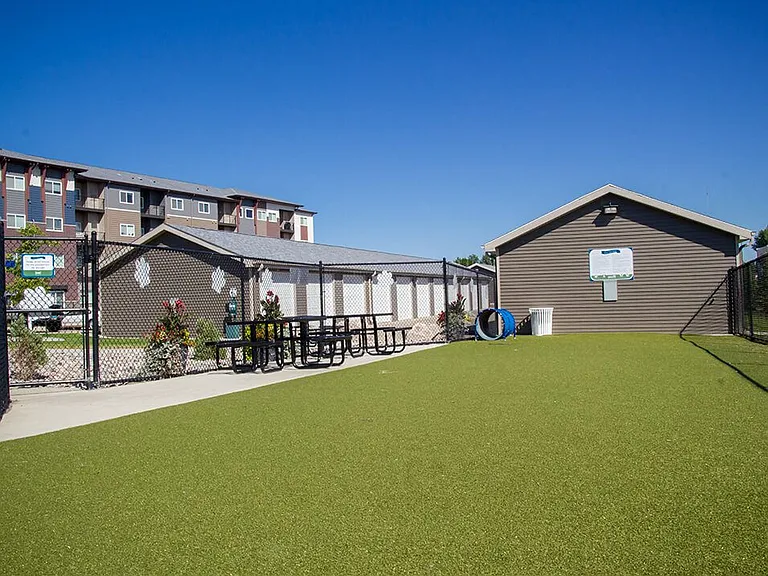 Your Dog will Love the Pet Park!