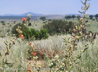 312 Windmill Rd, Ancho, NM 88301
