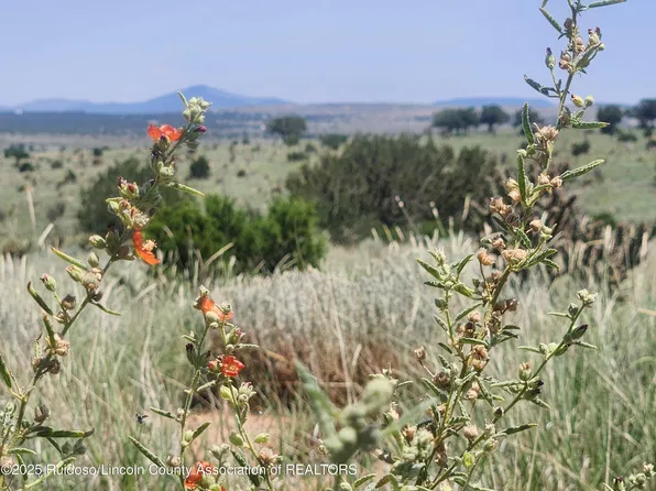 312 Windmill Rd, Ancho, NM 88301