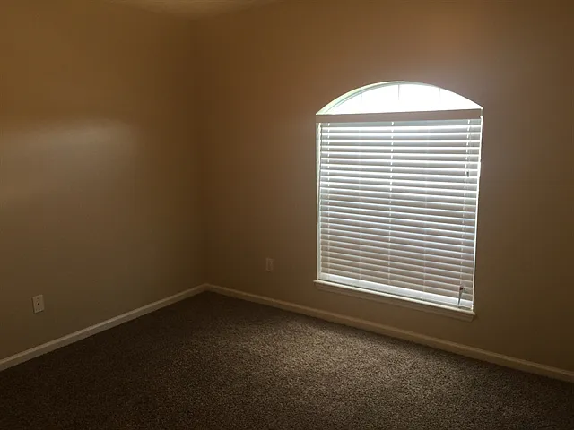 4406 Hanging Moss Dr — Photo 11