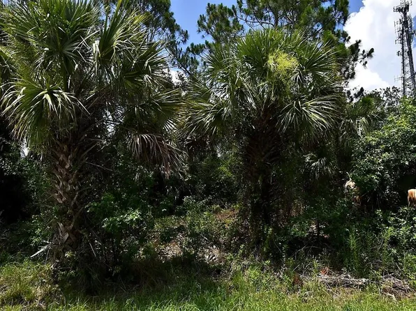 Sago Palm Rd Lot 28, North Pt, FL 34291