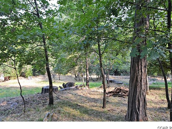 2nd image of 2679 Murphys Dr