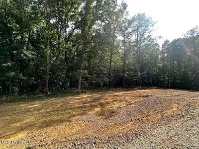 13999 Davenport Rd #3, Byhalia, MS, 38611
