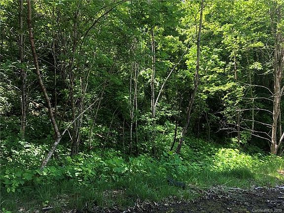 4th image of 99999 Lytle Cove Rd