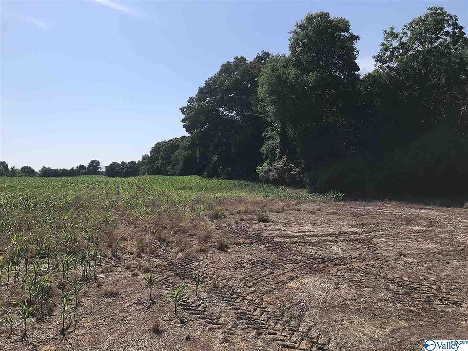 2nd image of 0 Us Highway 31 W